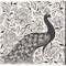 Peacock Garden IV BW by Miranda Thomas 24" x 24" Canvas Wall Art